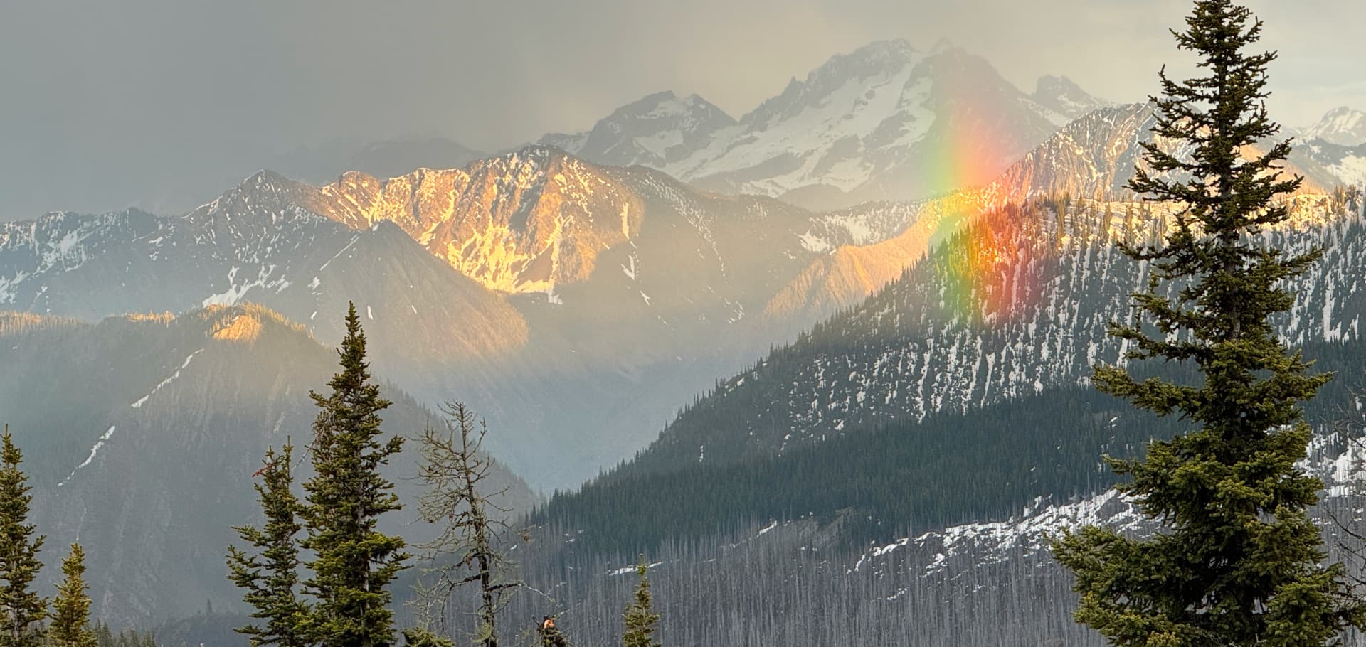 Cover Image for First week on the Pacific Crest Trail